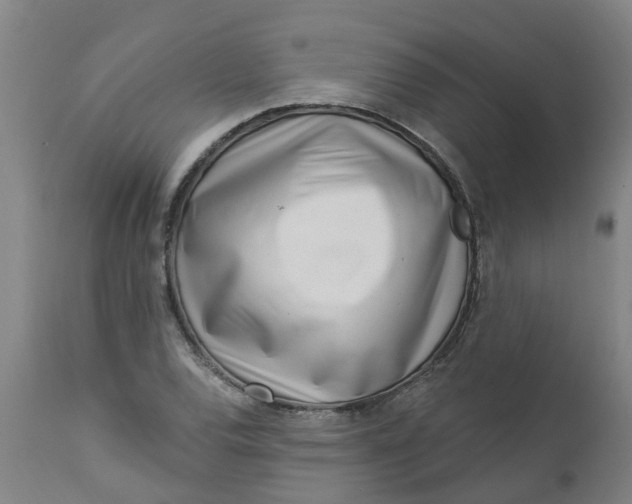 X0000112461120200909071103