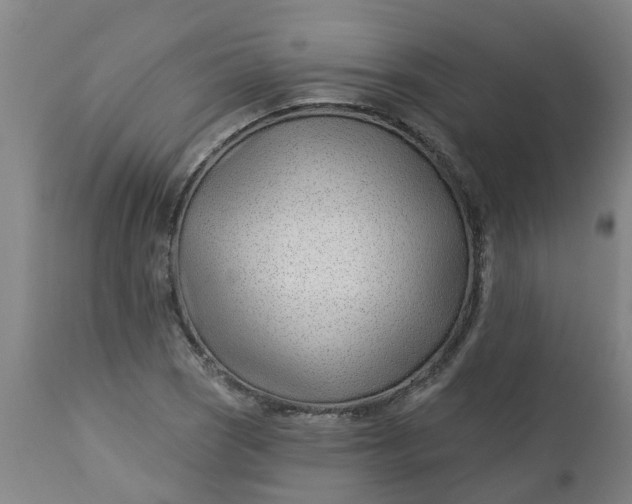 X0000112461121200909071103