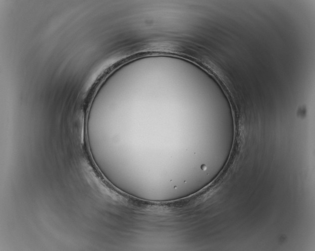 X0000112461123200909071103