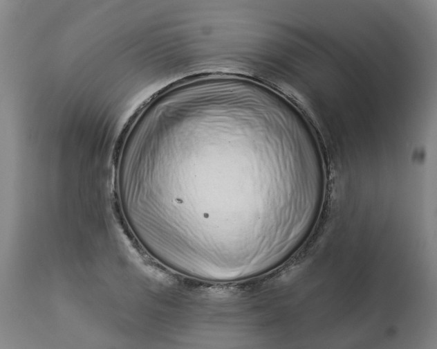 X0000112461125200909071103