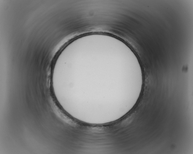 X0000112461126200909071103