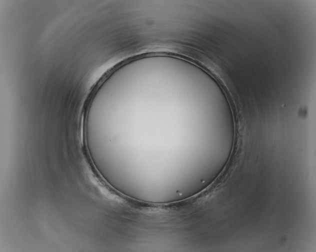 X0000112461127200909071103