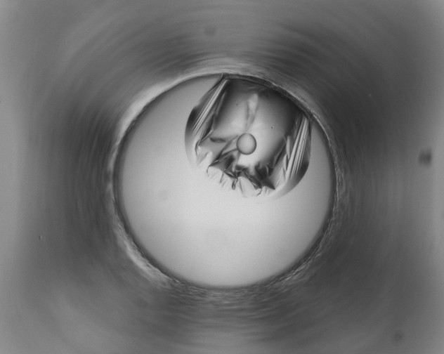 X0000112461128200909071103