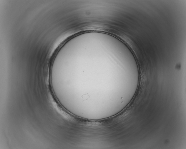 X0000112461131200909071103