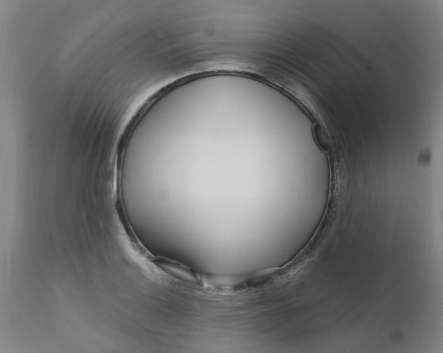 X0000112461132200909071103