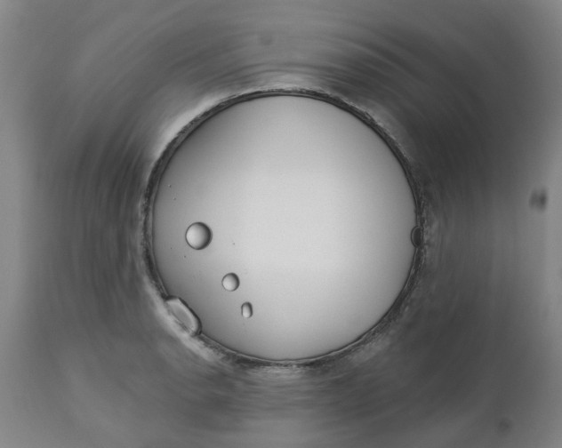 X0000112461134200909071103