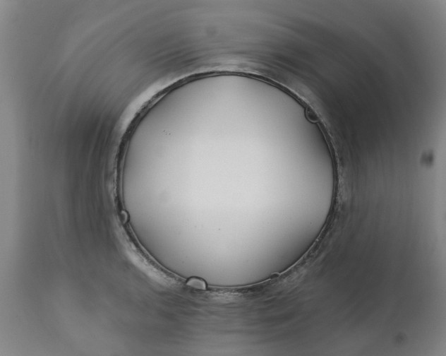 X0000112461136200909071103