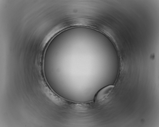 X0000112461138200909071103