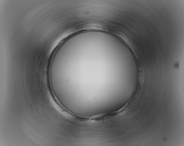 X0000112461139200909071103