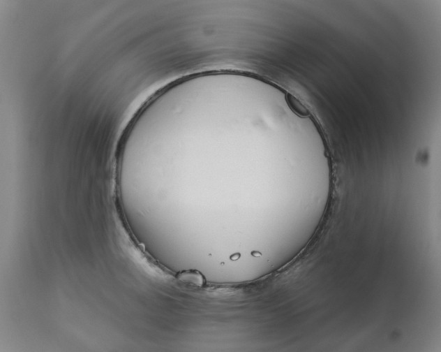 X0000112461140200909071103