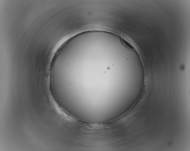 X0000112461144200909071103