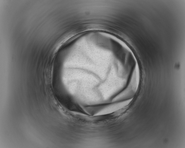 X0000112461145200909071103