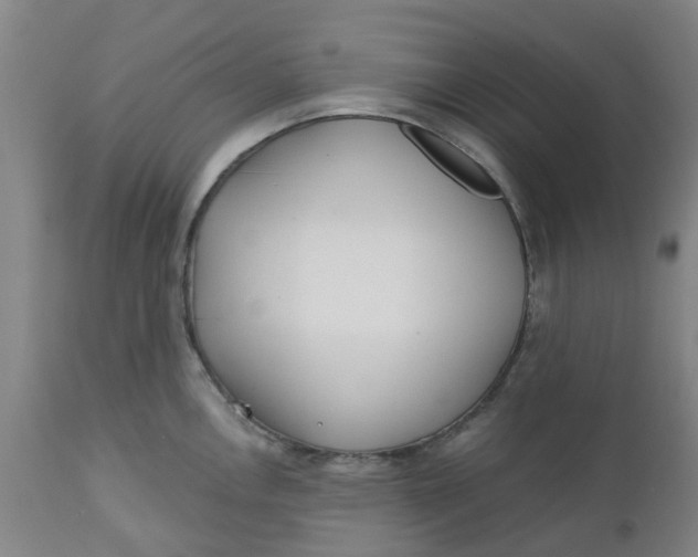 X0000112461146200909071103