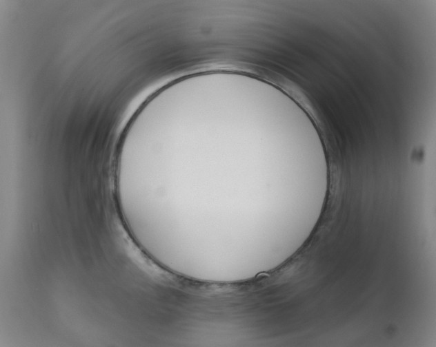 X0000112461148200909071103