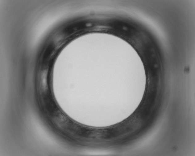 X0000112461150200909071104