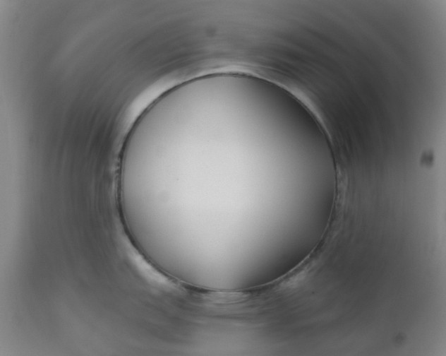 X0000112461151200909071104