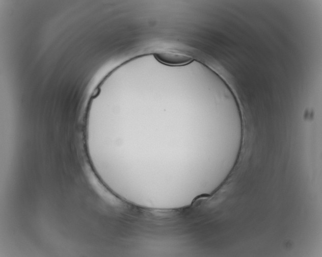 X0000112461152200909071104