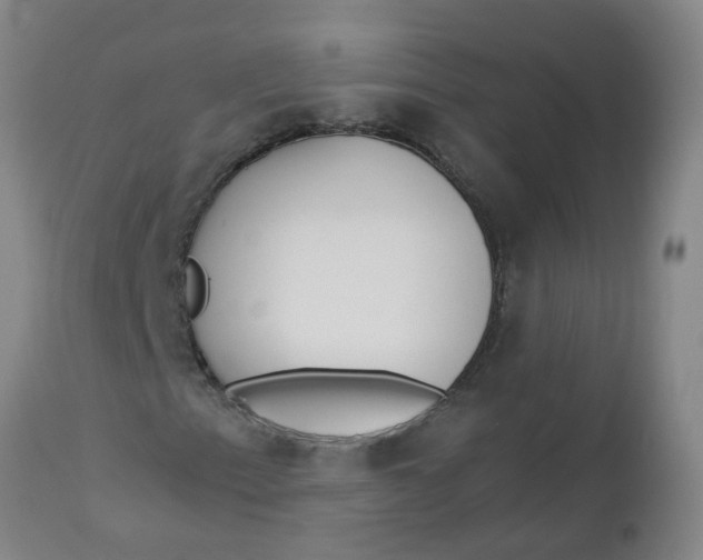 X0000112461153200909071103