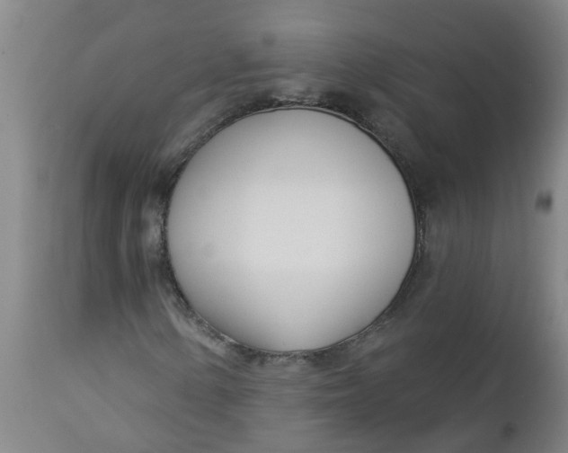 X0000112461154200909071103