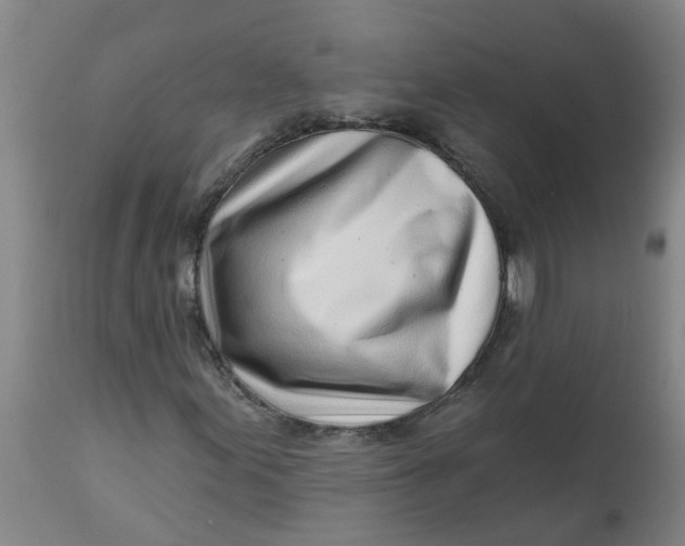 X0000112461155200909071103