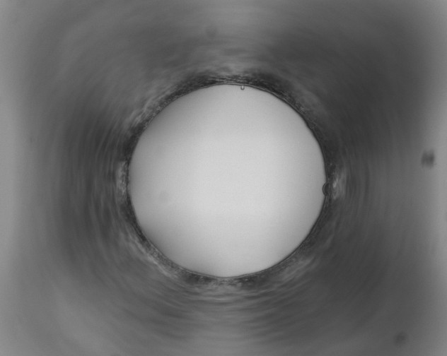 X0000112461156200909071103