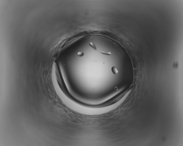 X0000112461157200909071103