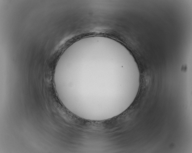 X0000112461158200909071103