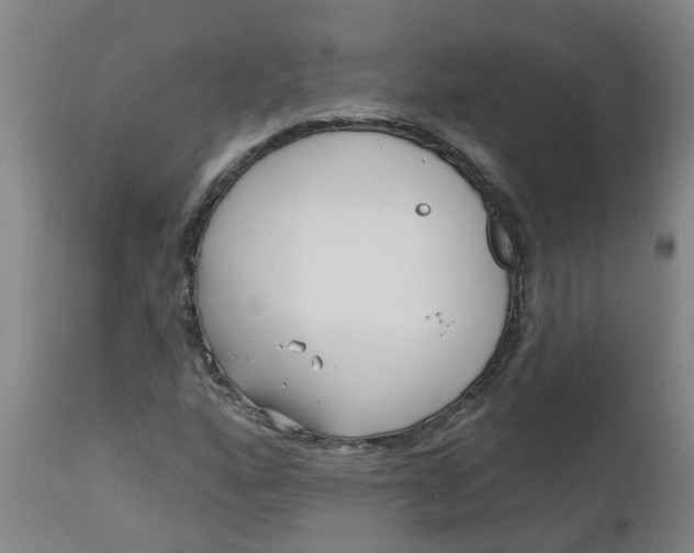 X0000112461160200909071103