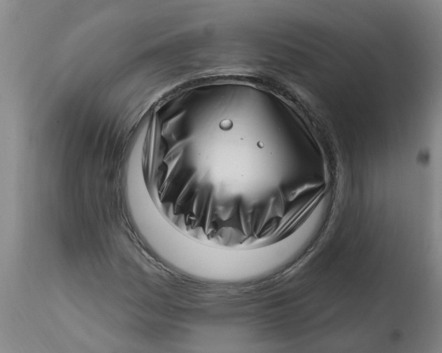 X0000112461161200909071103