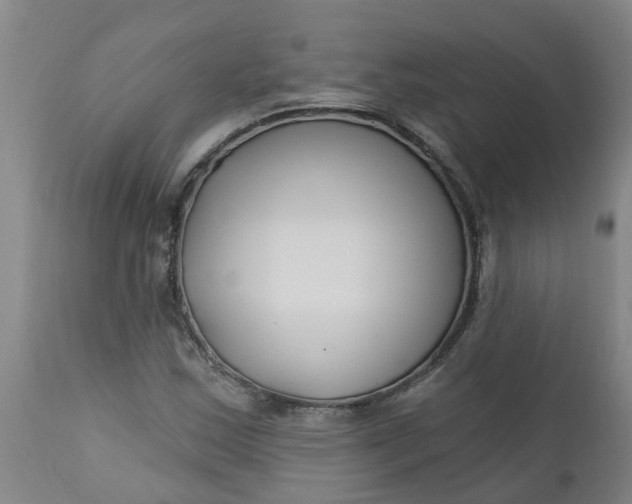 X0000112461163200909071103