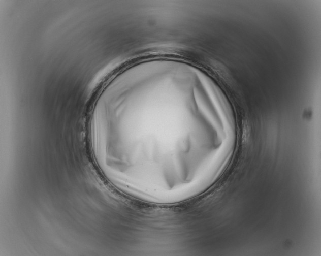 X0000112461164200909071103