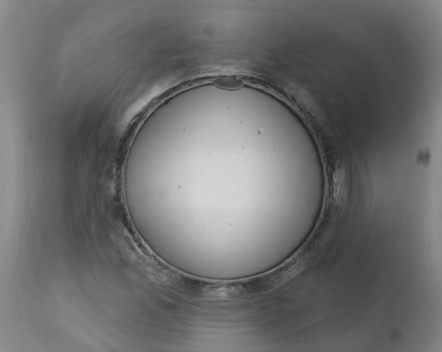 X0000112461165200909071103