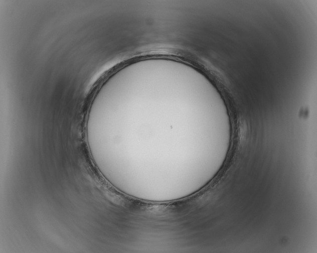 X0000112461166200909071103