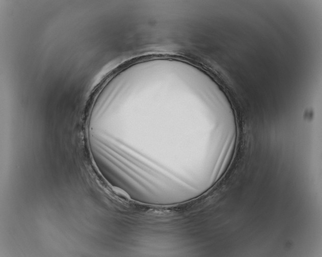 X0000112461168200909071103