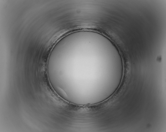 X0000112461169200909071103