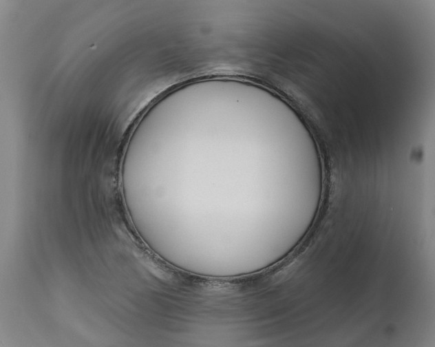 X0000112461170200909071103