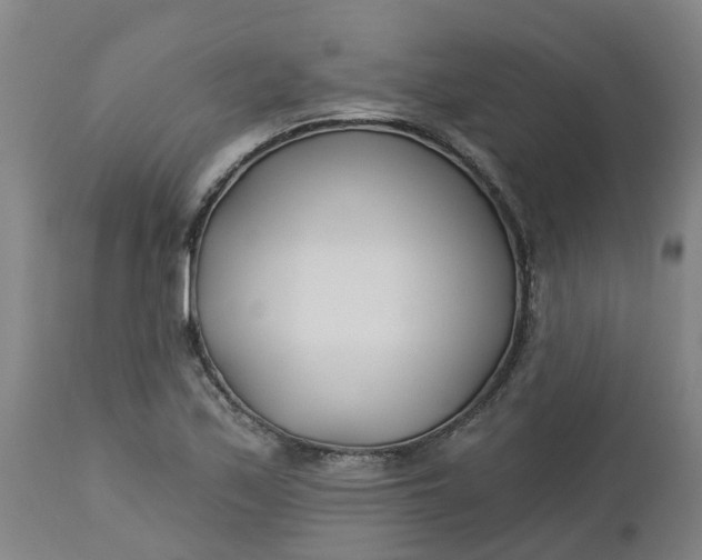 X0000112461171200909071103