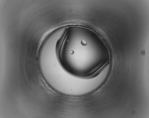 X0000112461172200909071103