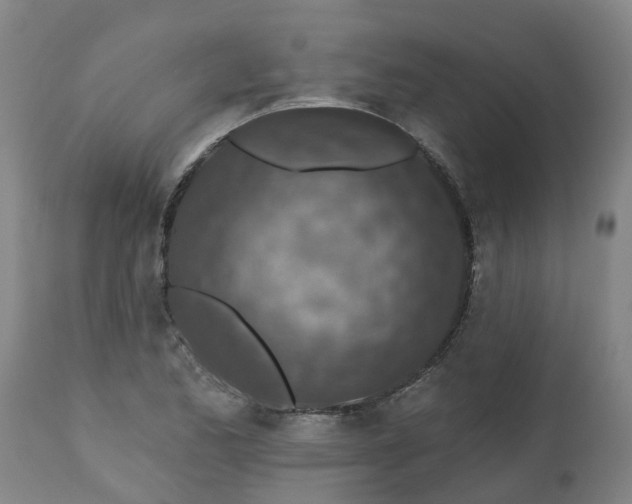 X0000112461173200909071103