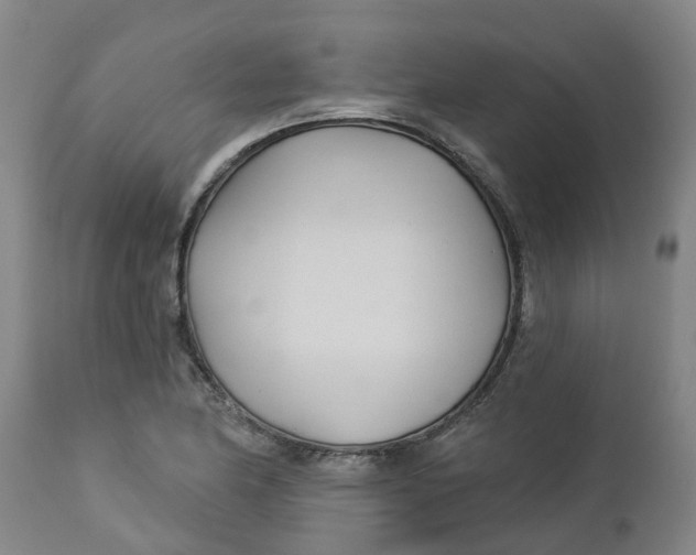 X0000112461174200909071103