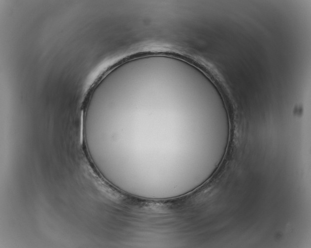 X0000112461175200909071103