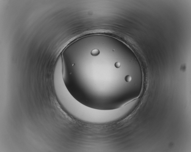 X0000112461177200909071103