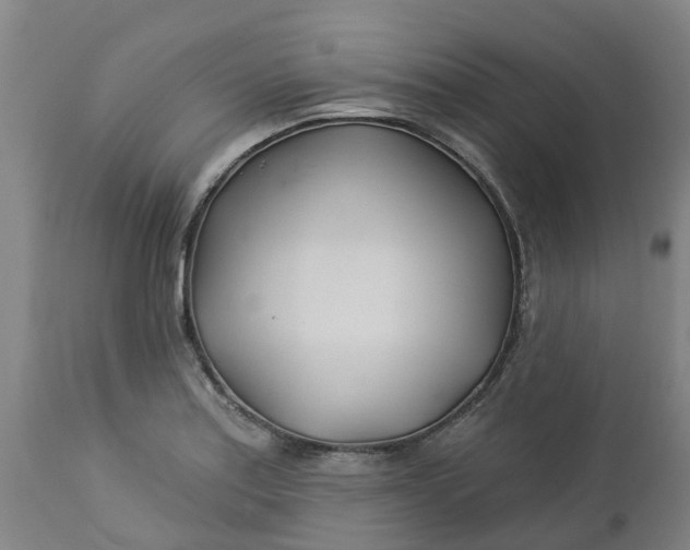 X0000112461179200909071103