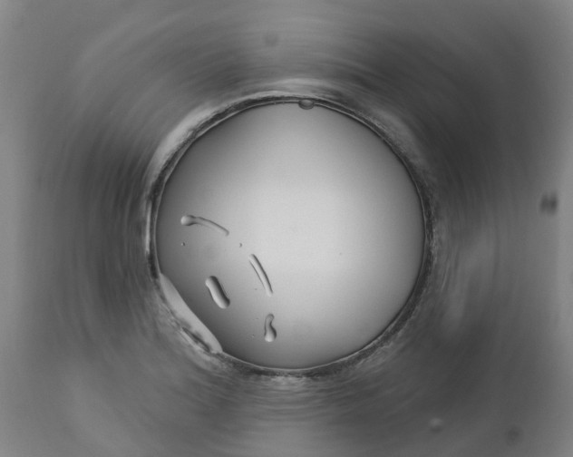 X0000112461180200909071103