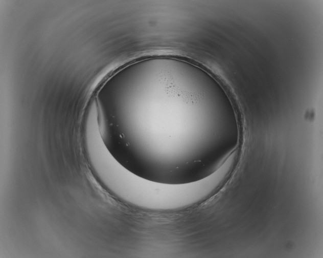 X0000112461181200909071103