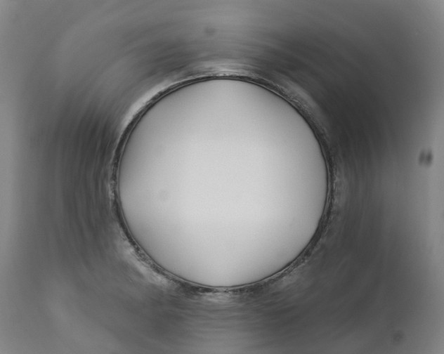 X0000112461182200909071102