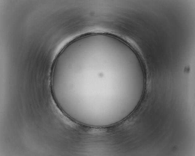 X0000112461183200909071102