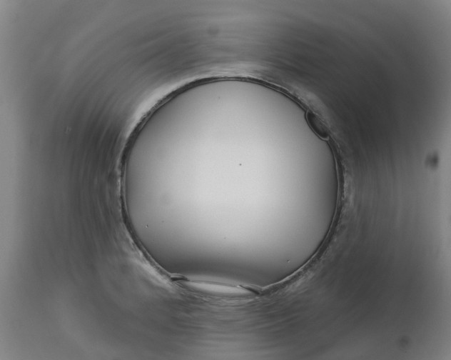 X0000112461184200909071102