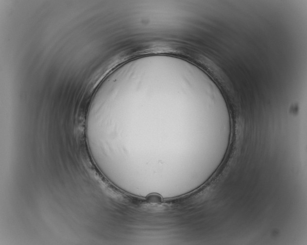 X0000112461185200909071102