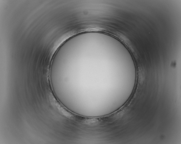 X0000112461186200909071102